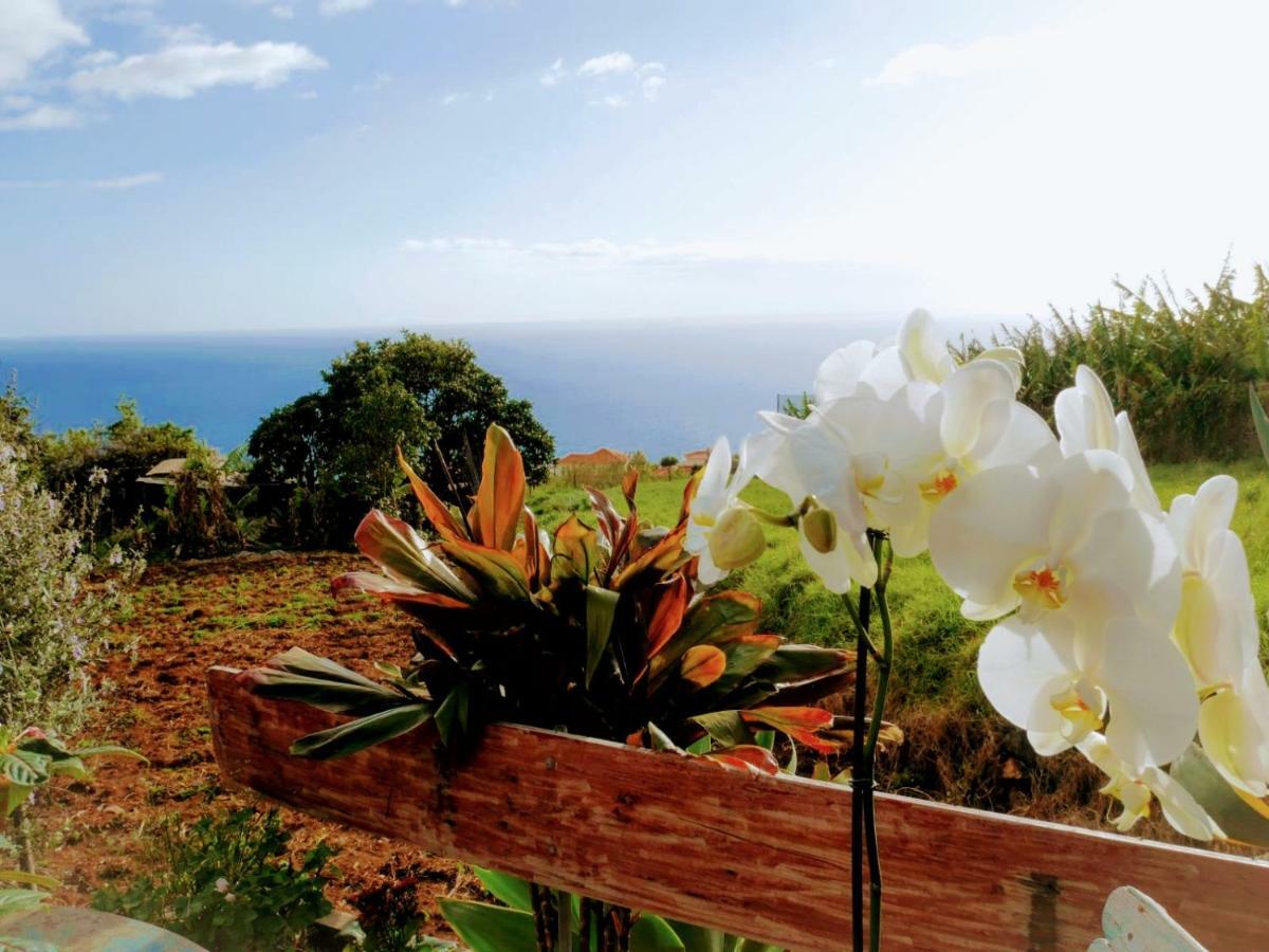Casas Serenas Estreito Da Calheta 外观 照片