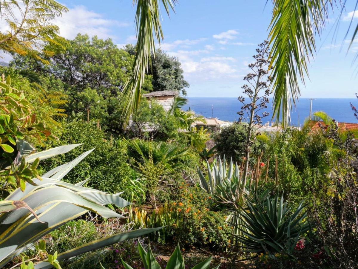 Casas Serenas Estreito Da Calheta 外观 照片