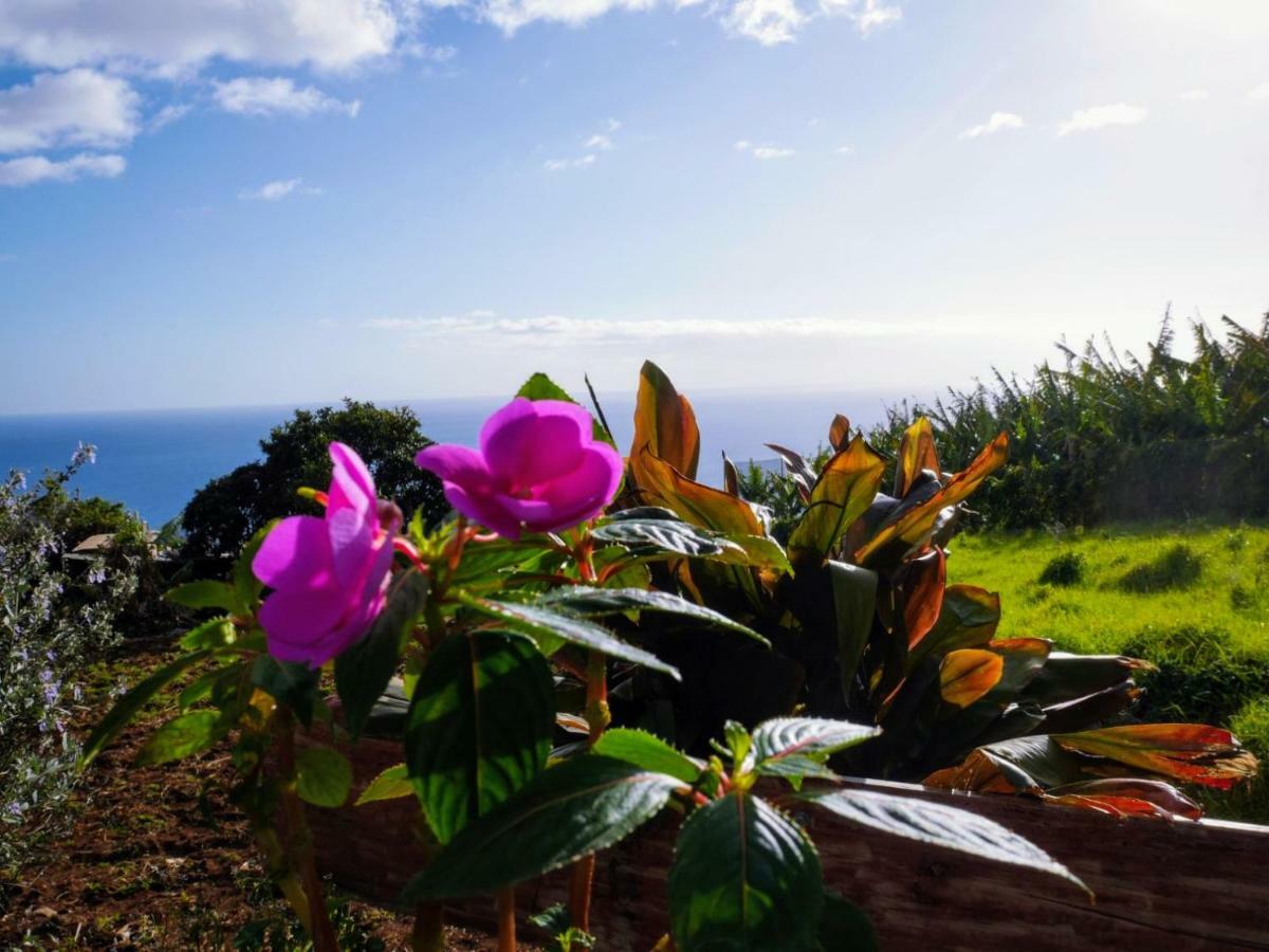 Casas Serenas Estreito Da Calheta 外观 照片